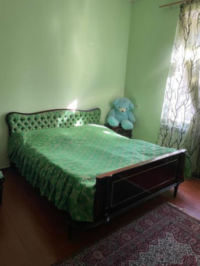 Arminiaa Guest House